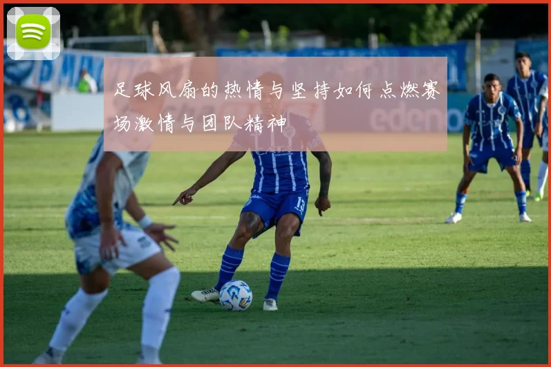 足球风扇的热情与坚持如何点燃赛场激情与团队精神